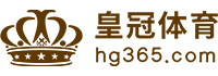 Logo 金沙体育